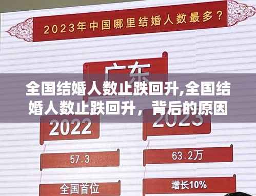 全国结婚人数止跌回升,趋势分析与原因探究