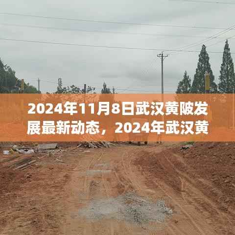 2024年武汉黄陂发展最新动态探索,融入区域发展大潮的步伐