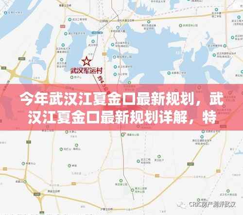 武汉江夏金口最新规划详解，特性、体验、竞品对比及用户群体分析指南