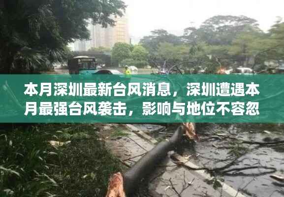 深圳遭遇本月最强台风袭击,影响与地位不容忽视