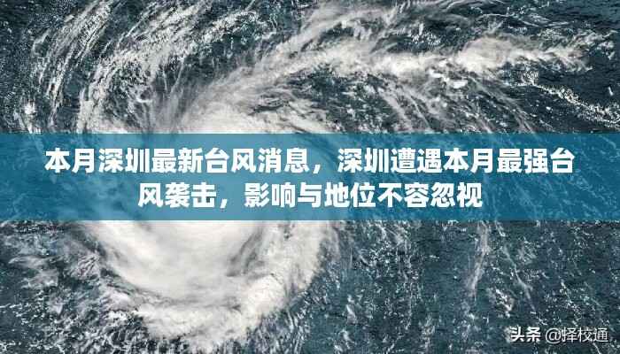 深圳遭遇本月最强台风袭击,影响与地位不容忽视