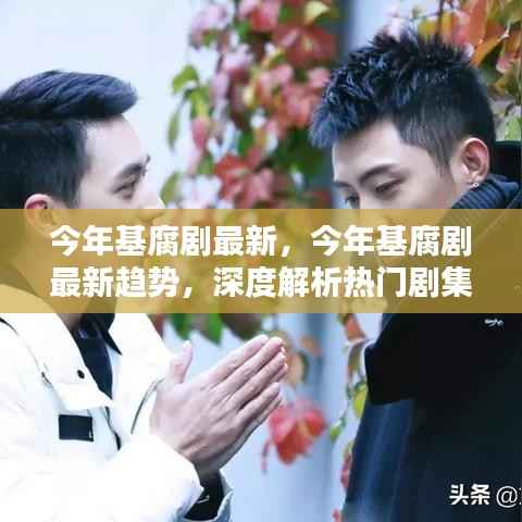 今年基腐剧最新趋势深度解析,热门剧集与新兴元素探讨