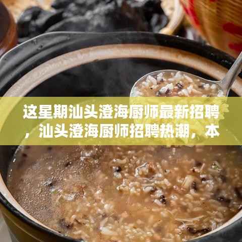 汕头澄海厨师招聘热潮揭秘,本周最新动态与影响