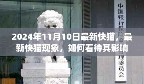 最新快猫现象,影响与未来发展观察(2024年观察点)