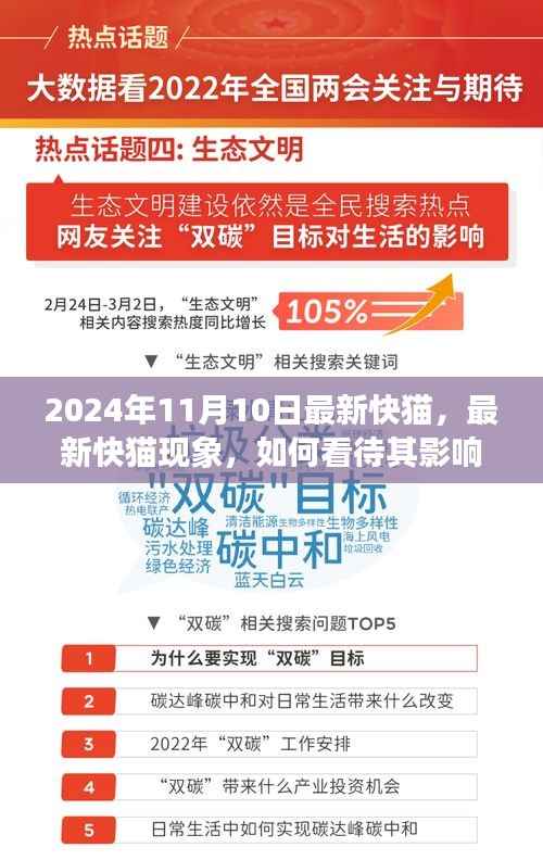 最新快猫现象,影响与未来发展观察(2024年观察点)