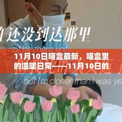 星星打烊 第34页