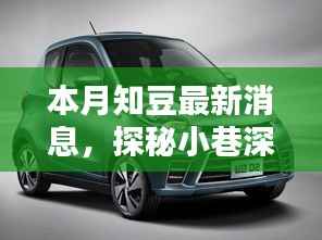 探秘小巷深处的知豆新风尚,独家揭秘本月最新动态