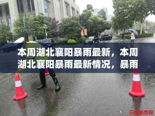 湖北襄阳本周暴雨最新情况,影响、应对措施全解析