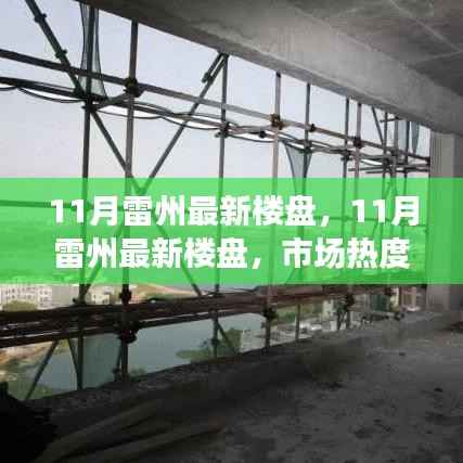 市场热度背后的深度解读与个人立场,11月雷州最新楼盘观察