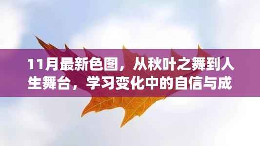 11月新色彩绘人生,从秋叶之舞到自信成就的舞台