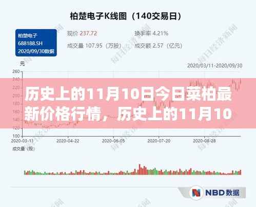 历史上的11月10日,菜柏价格背后的励志故事与最新行情,自信成就感的源泉