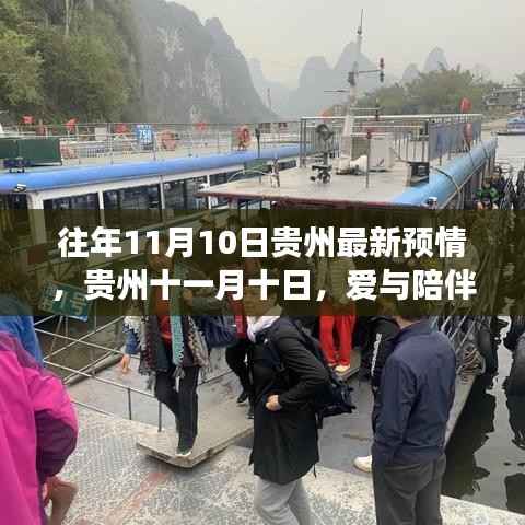 贵州十一月十日,爱与陪伴的温馨故事揭晓