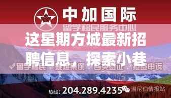 花开无言 第29页