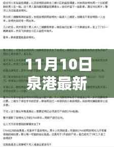 泉港11月10日命案回顾,悲剧警示与反思