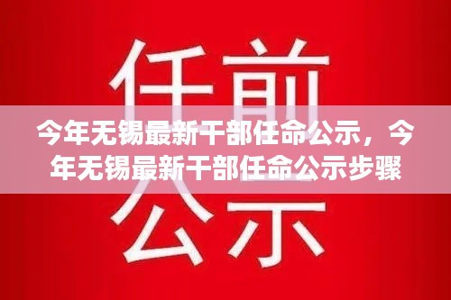 无锡最新干部任命公示步骤详解,从零开始全面了解