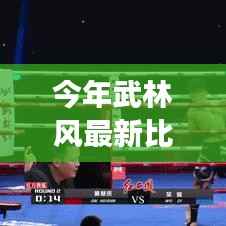 武林风直播日,热血江湖中的温情瞬间与最新比赛直播回顾