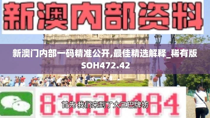 新澳门内部一码精准公开,最佳精选解释_稀有版SOH472.42