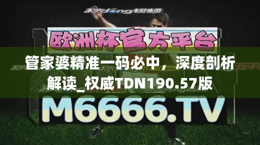 管家婆精准一码必中,深度剖析解读_权威TDN190.57版