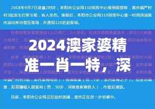 2024澳家婆精准一肖一特,深度解析精选版QRI748.52解读