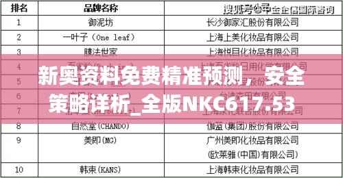 新奥资料免费精准预测,安全策略详析_全版NKC617.53
