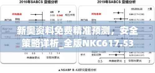 新奥资料免费精准预测,安全策略详析_全版NKC617.53