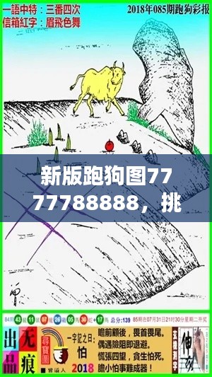 新版跑狗图7777788888,挑战TDM565.02资料解析