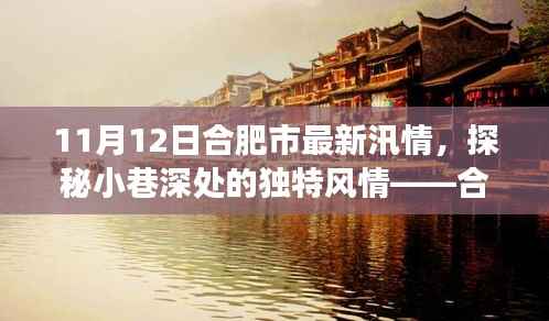 合肥汛情下的隐秘美食天堂探秘，小巷风情与美食之旅