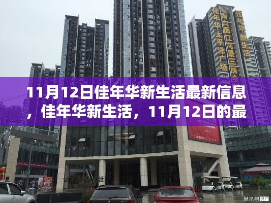 佳年华新生活11月12日最新篇章揭秘