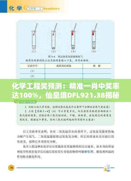 化学工程奖预测：精准一肖中奖率达100%，仙皇境DFL921.38揭秘