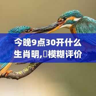 今晚9点30开什么生肖明,模糊评价法_四象境MAJ339.56