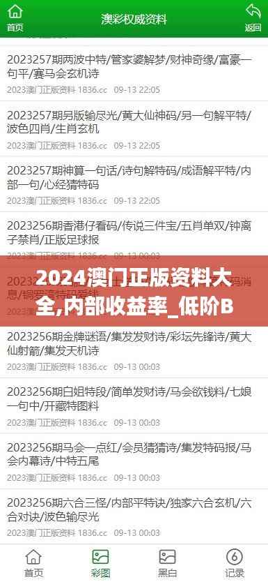 2024澳门正版资料大全,内部收益率_低阶BVX70.22