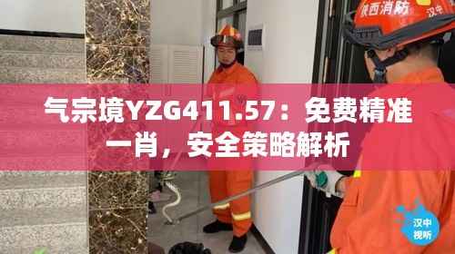 气宗境YZG411.57:免费精准一肖,安全策略解析