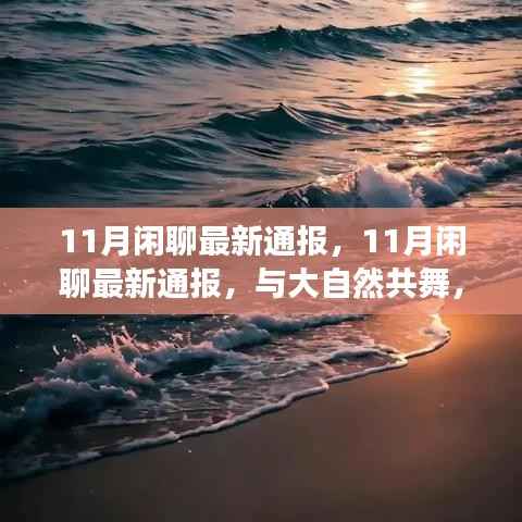 心灵之旅，与大自然的共舞，最新11月闲聊通报