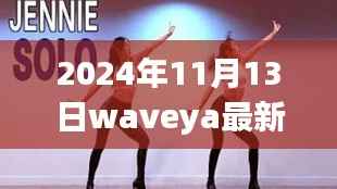 2024年11月13日Waveya最新视频观察,独特视角下的思考