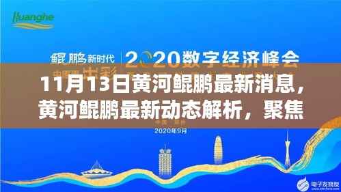 黄河鲲鹏最新动态解析,聚焦观点与理由