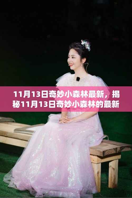 揭秘,最新动态,探索奇妙小森林的未知领域(日期,11月13日)