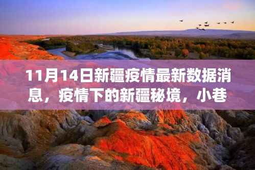 新疆疫情最新动态,秘境小巷的特色小店与疫情数据交织的故事