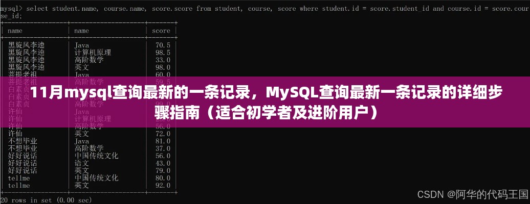MySQL查询最新记录步骤详解,从初学者到进阶用户的指南