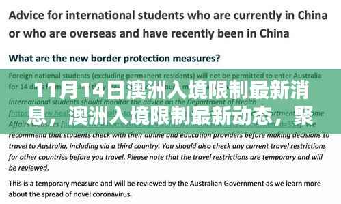 没精打采 第23页