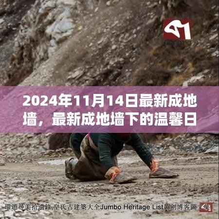 最新成地墙下的温馨日常,友谊与爱共筑美好家园的2024年1月记事