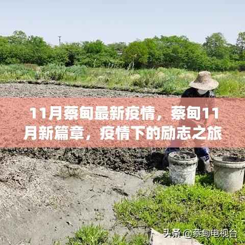 蔡甸11月疫情新篇章，励志之旅展现自信与成就之光