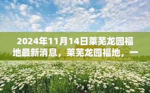 莱芜龙园福地奇遇记,最新消息揭秘温馨日常的奇遇体验(2024年)