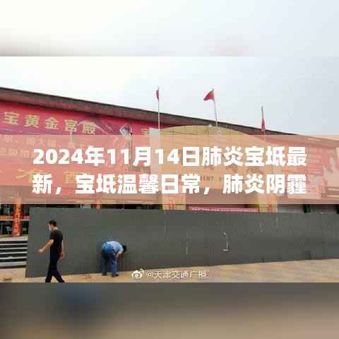 肺炎阴霾下的奇妙友情之旅,宝坻温馨日常最新报道(2024年11月14日)