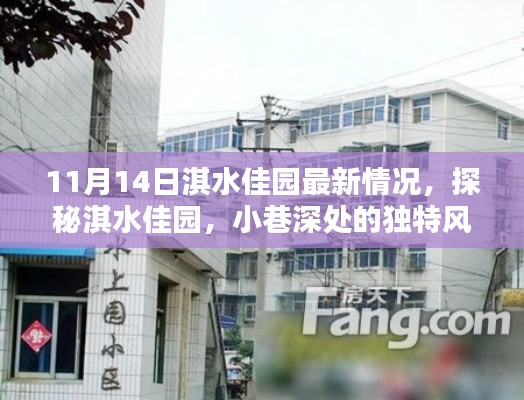 探秘淇水佳园，小巷深处的独特风情——最新探访报告（11月14日）