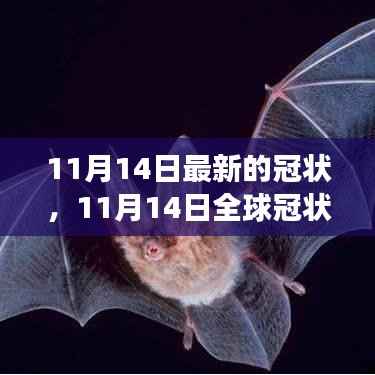 全球冠状病毒最新进展,关键更新与案例分析(截至11月14日)