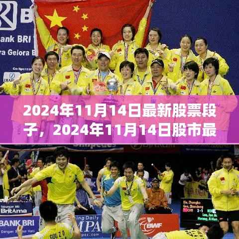 揭秘未来投资热点,最新股市动态与股票段子,2024年11月14日深度解析