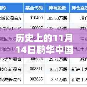 历史上的11月14日鹏华中国50最新净值深度解析及观察报告