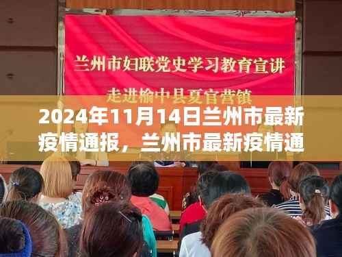 2024年11月14日兰州市疫情通报,深度解析疫情动态与影响