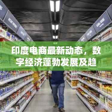 印度电商最新动态,数字经济蓬勃发展及趋势展望