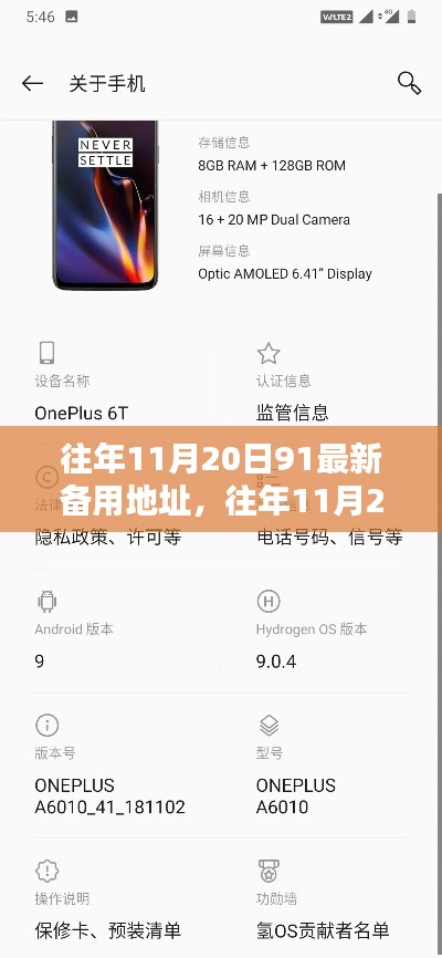 往年11月20日最新备用地址全面评测与介绍